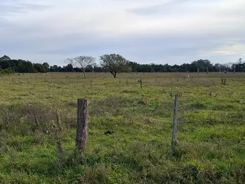 CAMPO DE 5H. EN GENERAL MADARIAGA TERRENO ALTO CON POZO DE AGUA Y PROXIMIDAD DE LUZ