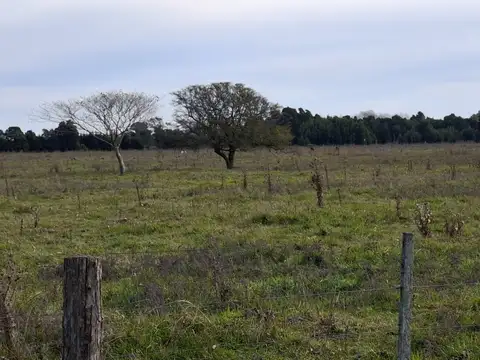 Campo en Venta de 5  ha