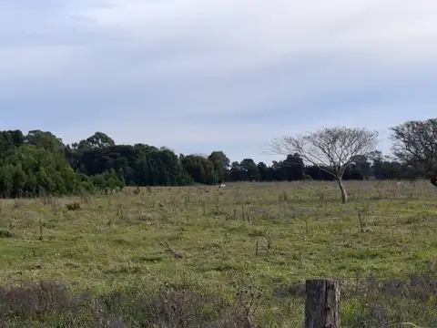 Campo en Venta Mixto