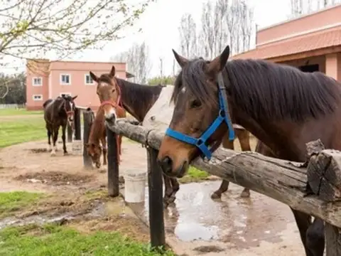 Terreno en Venta en Haras Del Sol, USD 62.000