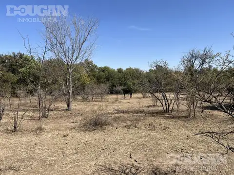 Terreno en Venta de 1966,0 m2