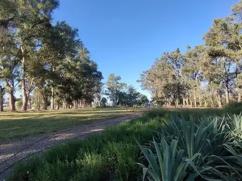 Terreno en Venta de 304,0 m2