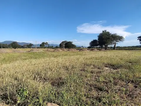 TERRENO VENTA URBANIZACION LOS OLMOS 360