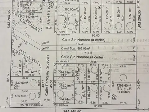 Campo - Coronel Brandsen