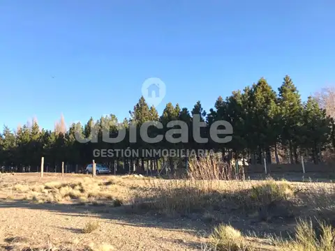 Los Notros 321, Dina Huapi