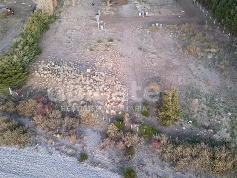 Los Notros 321, Dina Huapi