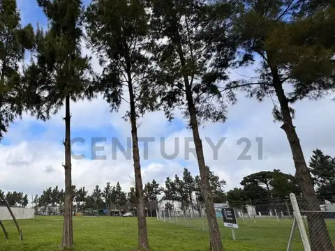 LOTE  EN VENTA 138 484 y 485