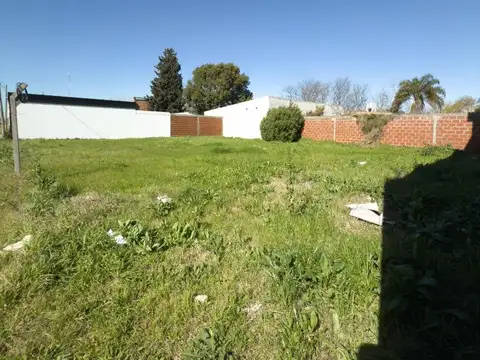 Terreno en Alquiler de 475,0 m2