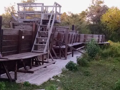 Campo - Pampa Del Indio