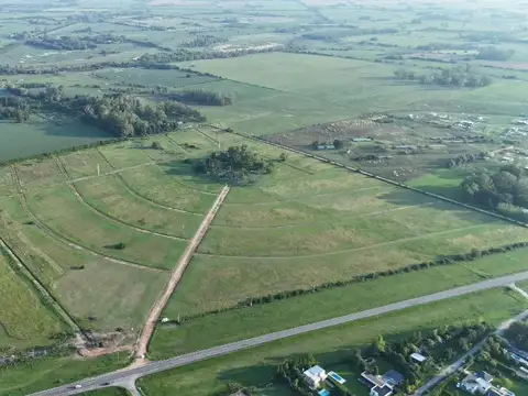 Campo Alto, barrio abierto en Zárate. Ruta 193.