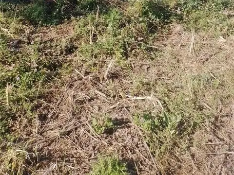 Terreno en Venta de 1000,0 m2