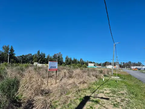 LOTE B° CARDALES CHICO