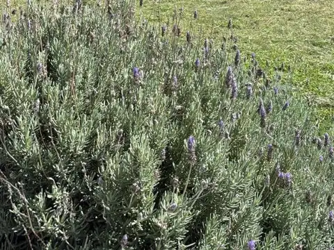 Lote en venta en Mar Azul, partido de Villa Gesell