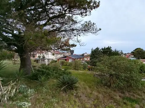 EXCELENTE LOTE A LA VENTA EN MAR DE OSTENDE