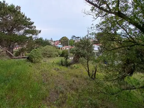 Avenida Sarmiento 300