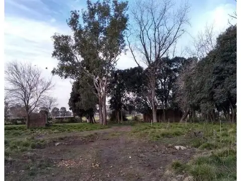 Terreno en Venta 100  mts Fondo