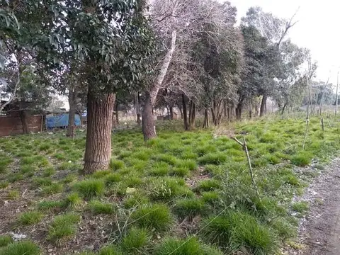 Terreno en Venta 50  mts Frente