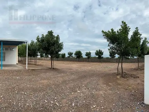 Galpon en Venta en La Adela, USD 550.000