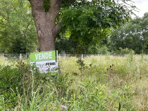 Terreno en  venta en Villa Elisa