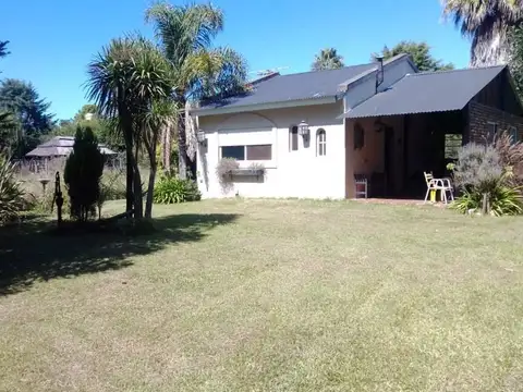 SAKURA, Antonio Machado 600