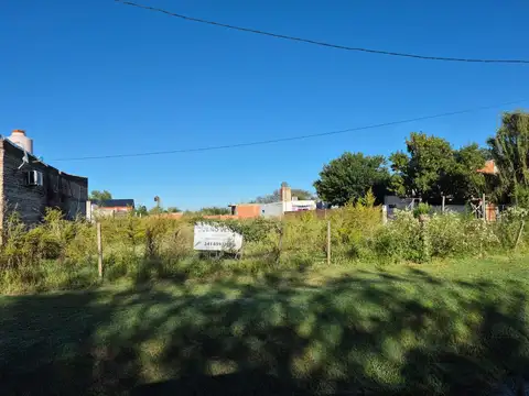 NAMUNCURA Y LISANDRO DE LA TORRE