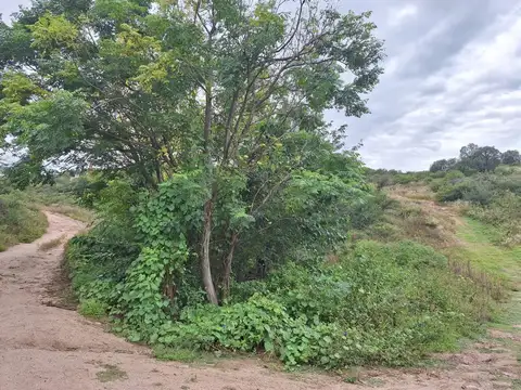 Terreno en Venta de 4378,0 m2