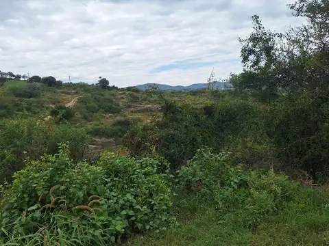 Terreno en Venta de 4378,0 m2