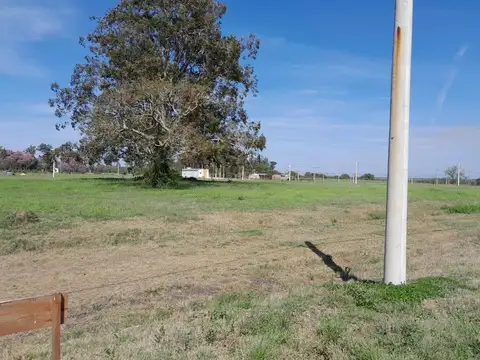 Terreno en Venta, FOT 5