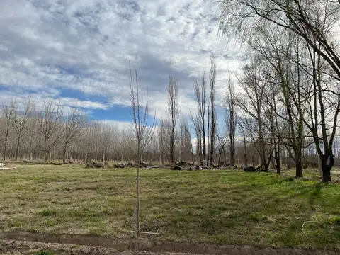 Terreno en Venta de 919,0 m2
