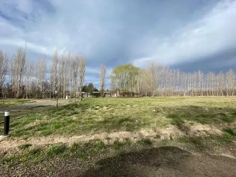 Damas Patricias y Ruta 22, barrio Las Patricias, General Roca