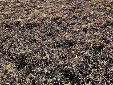 VENTA DE LOTE 800MTS. EN ANISACATE CON ESCRITURA