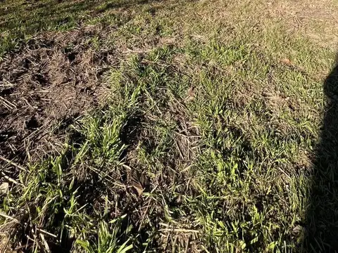 Terreno en Venta en Villa Anisacate, USD 16.900