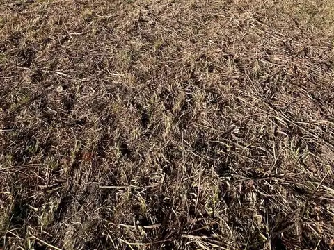 Terreno en Venta en Villa Anisacate, USD 16.900