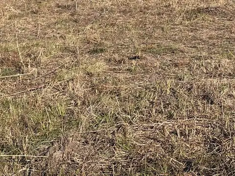 Terreno en Venta de 801,0 m2