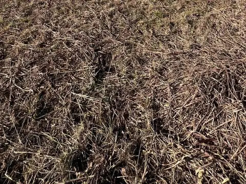 Terreno en Venta en Villa Anisacate, USD 16.900