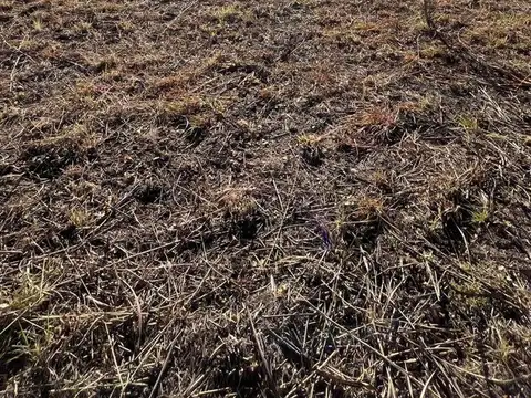 Terreno en Venta de 801,0 m2