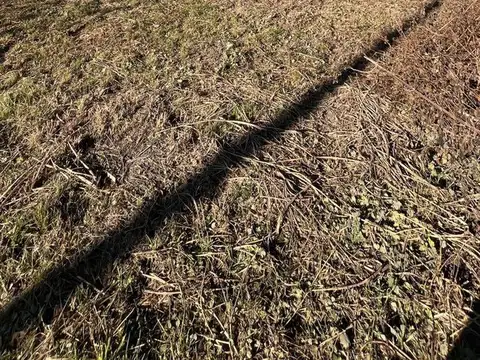 VENTA DE LOTE 800MTS. EN ANISACATE CON ESCRITURA