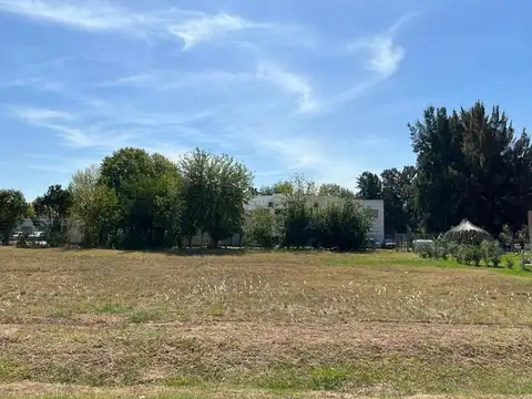 Carola Lorenzini Lote / N° 4651