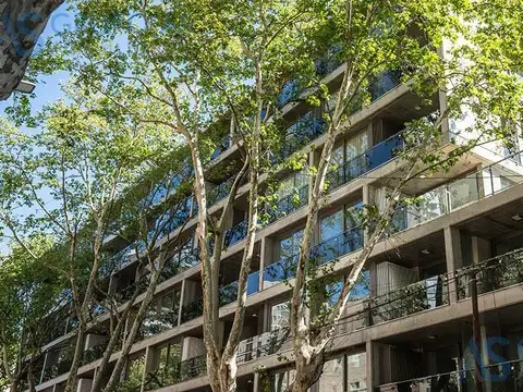 Thedy 343 bis - Condo Norte