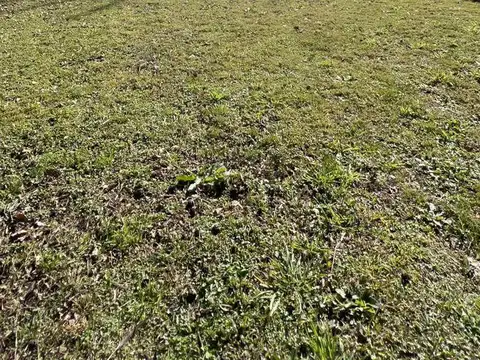 Terreno en Venta de 170,0 m2