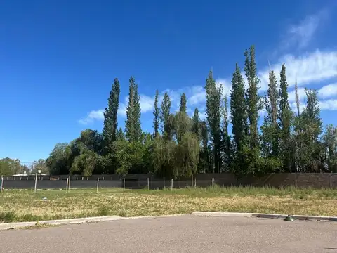 B. Privado Guaymallén, usd$30/mt2