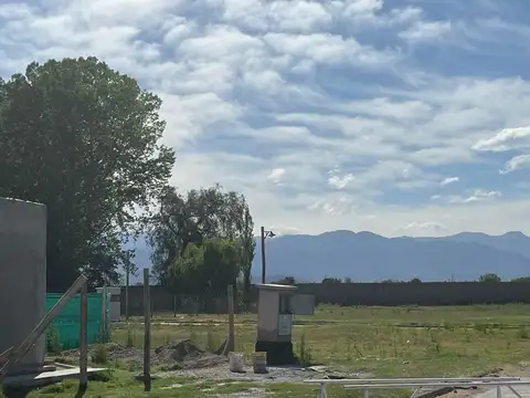 SANTA ISABEL, C. S/N, El Sauce, Mendoza