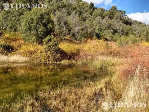 151 ha sobre río. El Bolsón, Río Negro