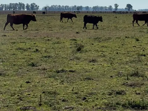 Ruta Nacional 3, km 170