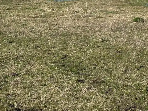 Campo en Venta en La Plata [Cod: 236]