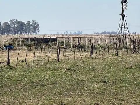 Campo en Venta en La Plata [Cod: 236]