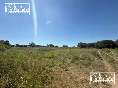 Campo en Venta Forestal