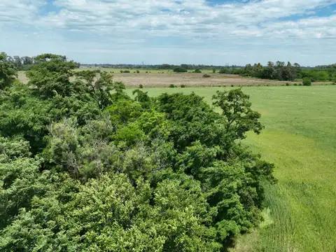Fracción para Loteo en General Rodríguez
