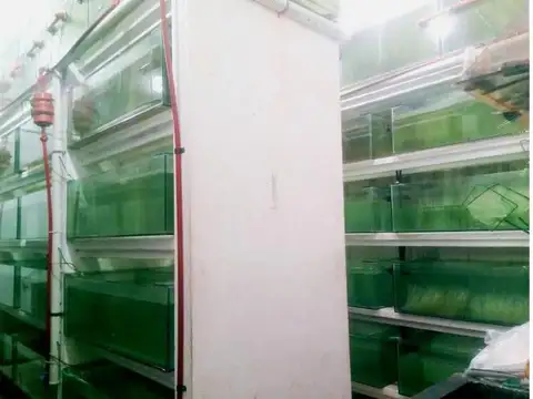 Galpon en Venta en Remedios De Escalada, USD 82.000