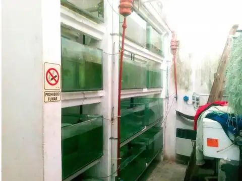 Galpon en Venta A Estrenar